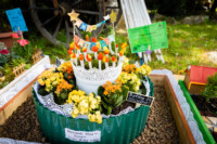 Ennek a képnek nincs leírása.