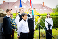 Ennek a képnek nincs leírása.