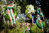 Cím nélküli előnézeti kép. Ennek a képnek nincs leírása.