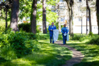 Ennek a képnek nincs leírása.