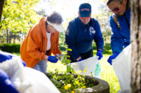 Ennek a képnek nincs leírása.