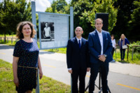 Ennek a képnek nincs leírása.