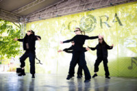 Ennek a képnek nincs leírása.