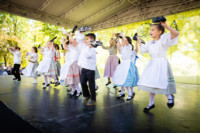 Ennek a képnek nincs leírása.