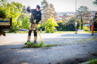 Cím nélküli előnézeti kép. Ennek a képnek nincs leírása.