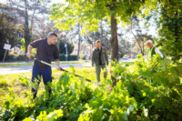 Cím nélküli előnézeti kép. Ennek a képnek nincs leírása.