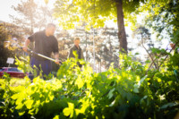 Cím nélküli előnézeti kép. Ennek a képnek nincs leírása.