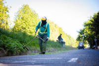 Ennek a képnek nincs leírása.