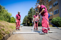 Ennek a képnek nincs leírása.