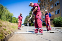 Ennek a képnek nincs leírása.