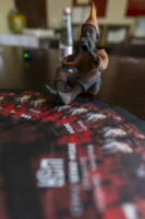 Cím nélküli előnézeti kép. Ennek a képnek nincs leírása.