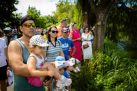 Cím nélküli előnézeti kép. Ennek a képnek nincs leírása.