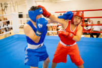 Cím nélküli előnézeti kép. Ennek a képnek nincs leírása.