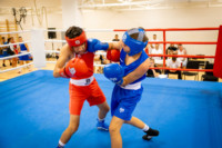 Cím nélküli előnézeti kép. Ennek a képnek nincs leírása.