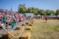 Ennek a képnek nincs leírása.