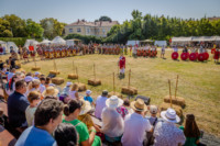 Ennek a képnek nincs leírása.