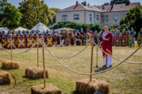 Ennek a képnek nincs leírása.