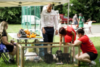 Cím nélküli előnézeti kép. Ennek a képnek nincs leírása.