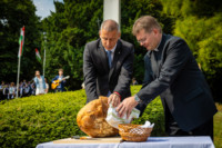 Ennek a képnek nincs leírása.