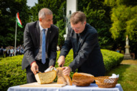 Ennek a képnek nincs leírása.