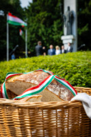 Ennek a képnek nincs leírása.