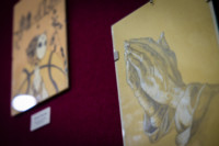 Ennek a képnek nincs leírása.