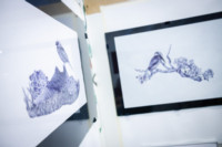 Ennek a képnek nincs leírása.