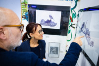 Ennek a képnek nincs leírása.