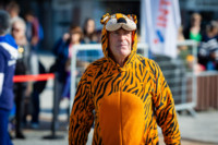 Cím nélküli előnézeti kép. Ennek a képnek nincs leírása.