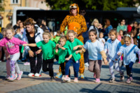 Cím nélküli előnézeti kép. Ennek a képnek nincs leírása.