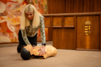 Ennek a képnek nincs leírása.