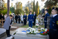 Ennek a képnek nincs leírása.