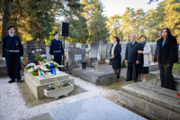 Ennek a képnek nincs leírása.