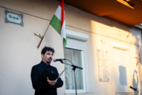 Ennek a képnek nincs leírása.