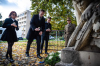 Ennek a képnek nincs leírása.