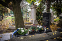 Ennek a képnek nincs leírása.