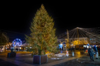 Ennek a képnek nincs leírása.