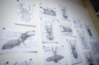 Ennek a képnek nincs leírása.