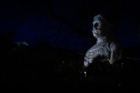 Ennek a képnek nincs leírása.