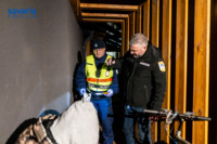 Cím nélküli előnézeti kép. Ennek a képnek nincs leírása.