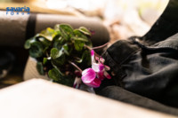 Cím nélküli előnézeti kép. Ennek a képnek nincs leírása.