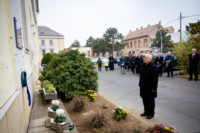 Ennek a képnek nincs leírása.