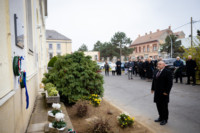 Ennek a képnek nincs leírása.