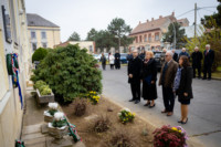 Ennek a képnek nincs leírása.