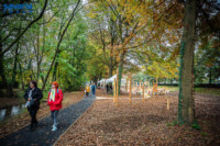 Ennek a képnek nincs leírása.