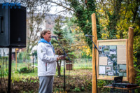 Ennek a képnek nincs leírása.