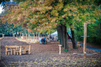 Ennek a képnek nincs leírása.