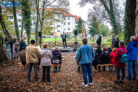 Ennek a képnek nincs leírása.