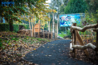 Ennek a képnek nincs leírása.