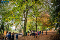 Ennek a képnek nincs leírása.